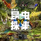 世界の昆虫採集ライト - App Icon