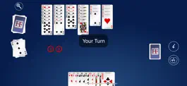 Game screenshot Extreme Hand and Foot apk