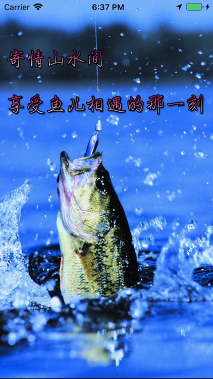 钓鱼速成—视频教程