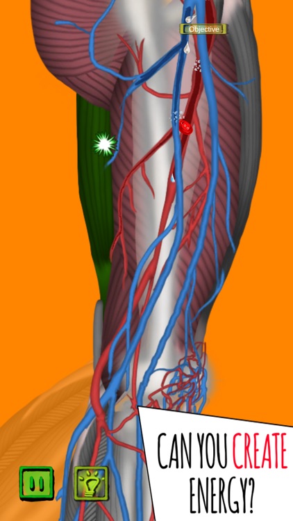 Inside The Human Body PREMIUM screenshot-5