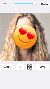 Face Blur+ screenshot