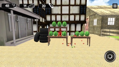 Watermelon Gun Sharpshooter screenshot 3