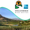 Stellenbosch Wine Routes