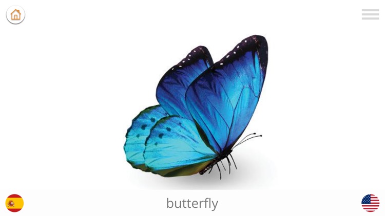 Play and Learn SPANISH