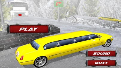 Limousine Drive in Snow screenshot 2