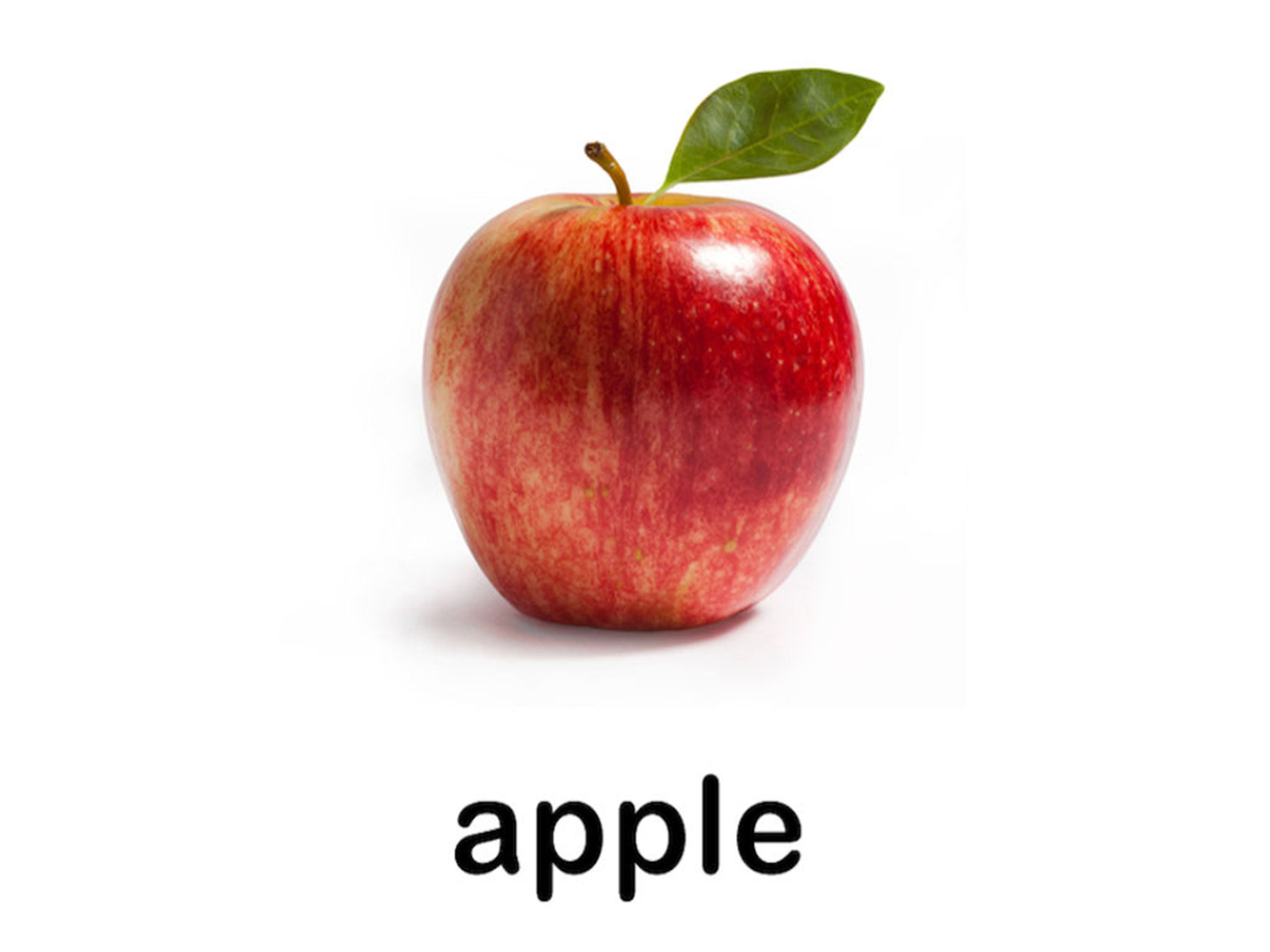 Autism iHelp - Food screenshot 7
