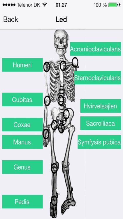 Anatomikort screenshot-3