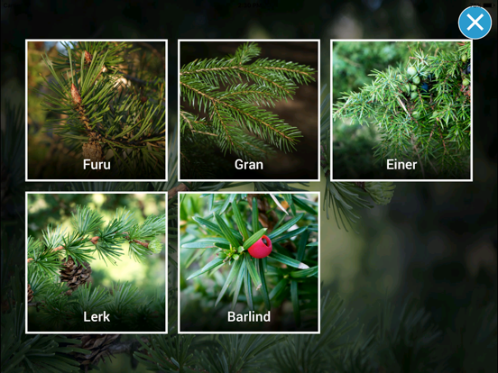 Screenshot #5 pour Treslag - på tur i skogen