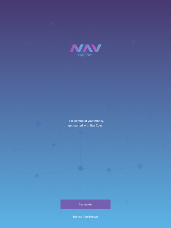 Screenshot #4 pour NavPay