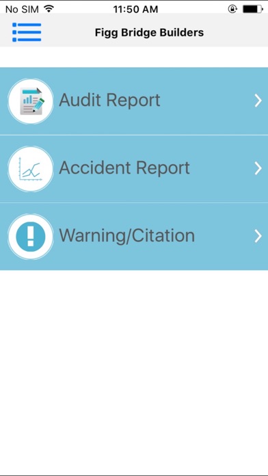 Figg Bridge Builders Safety screenshot 4