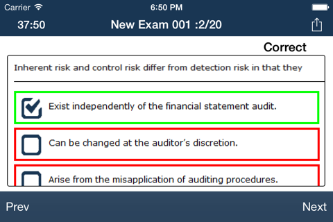 CPA Audit Exam Online screenshot 4