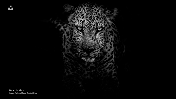 Screenshot #3 pour Unsplash for Apple TV