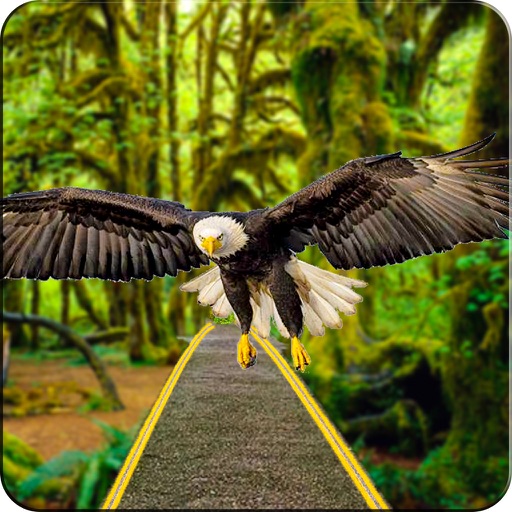 Flying Bird Escape 2017 icon