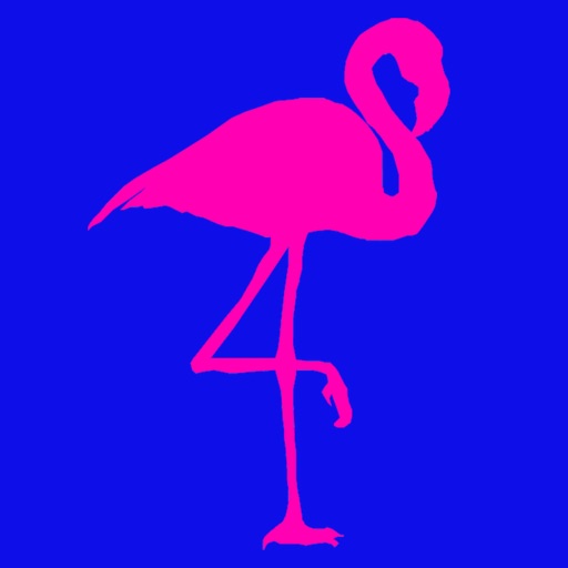 Trendy Flamingo