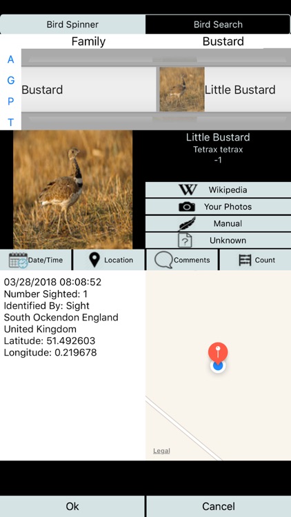 Big Year Birding GB