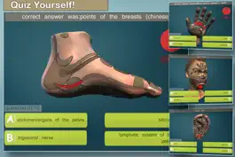 Game screenshot Total Reflexology-3D hack