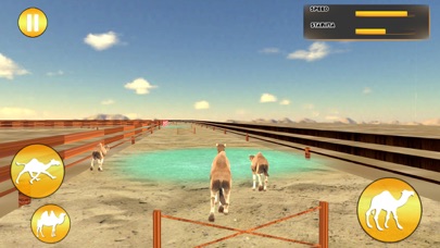 Desert King Camel Race screenshot 3