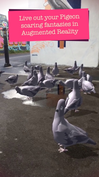 Pigeon Panic! AR