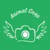 AnimalSnap - Identify Animals problems & troubleshooting and solutions