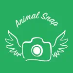 AnimalSnap - Identify Animals App Alternatives