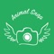 AnimalSnap - Identify Animals