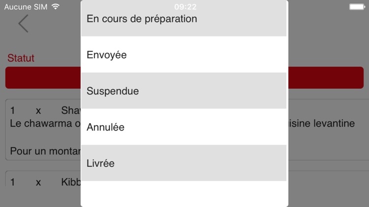 MRS-Pro screenshot-4