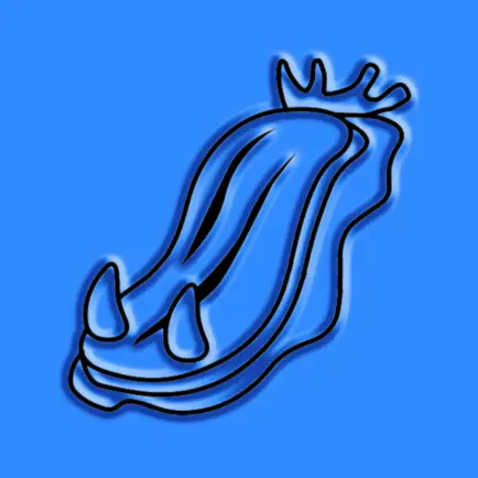 Nudibranches, by Reef Life Читы