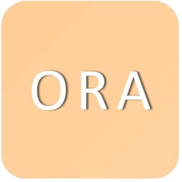 BSI ORA App