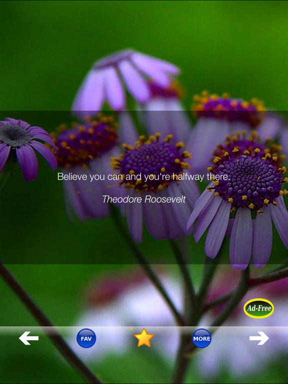 Screenshot #5 pour Self Help Improvement Quotes!