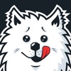 Samoyed Fram