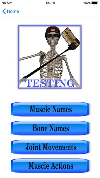 Stus Anatomy Flashcards screenshot-6