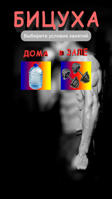 Бицуха iPhone screenshot