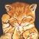 CatNap 1: Sleepy Cat Stickers app icon - Stickers app for iPhone