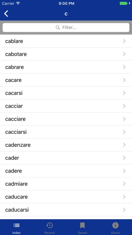 Italian Verbs Dictionary