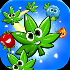 Activities of Weed Blast Flower & Harvest