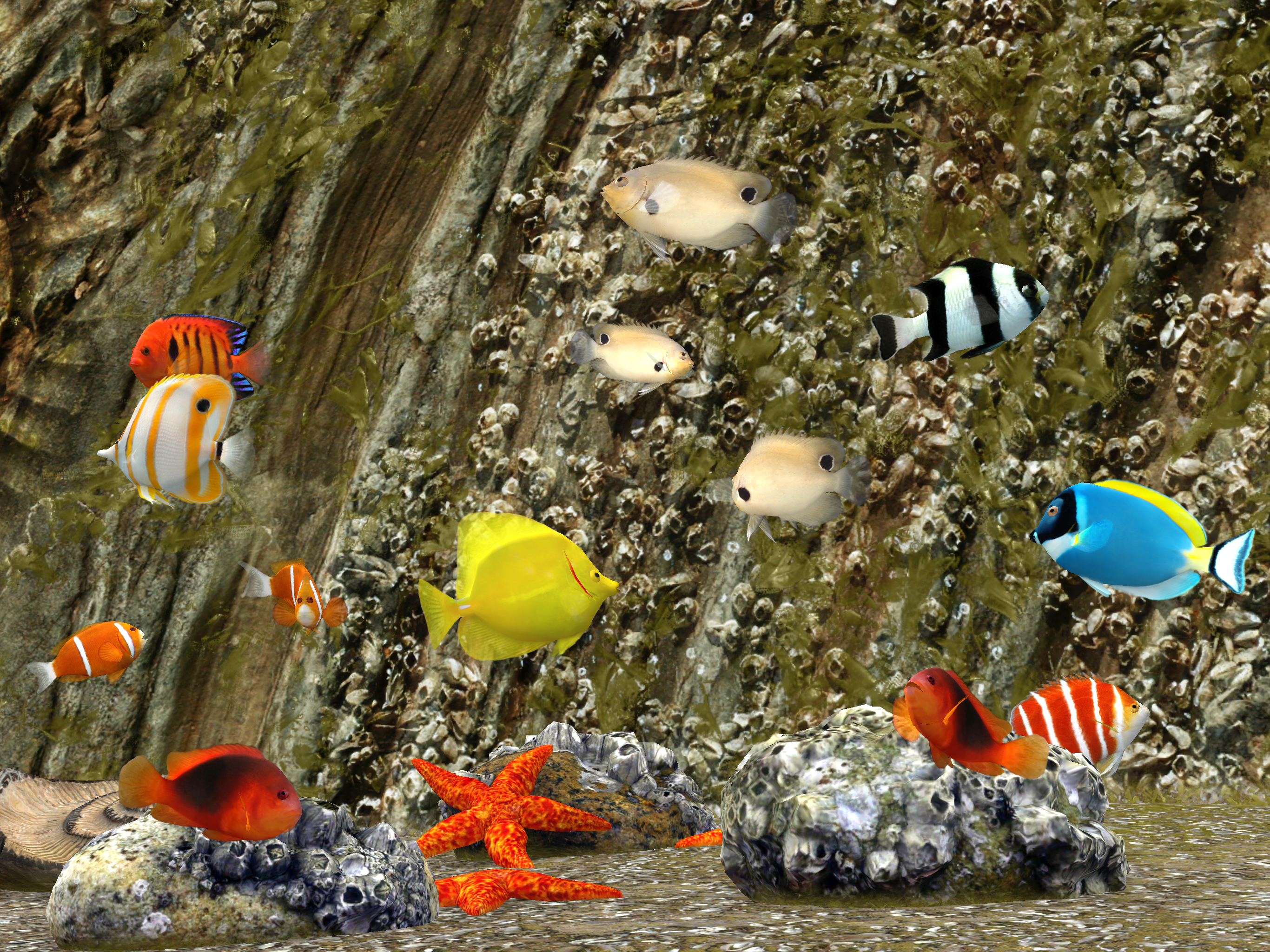 MyReef 3D Aquarium 3