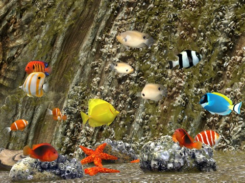 MyReef 3D Aquarium 3のおすすめ画像5