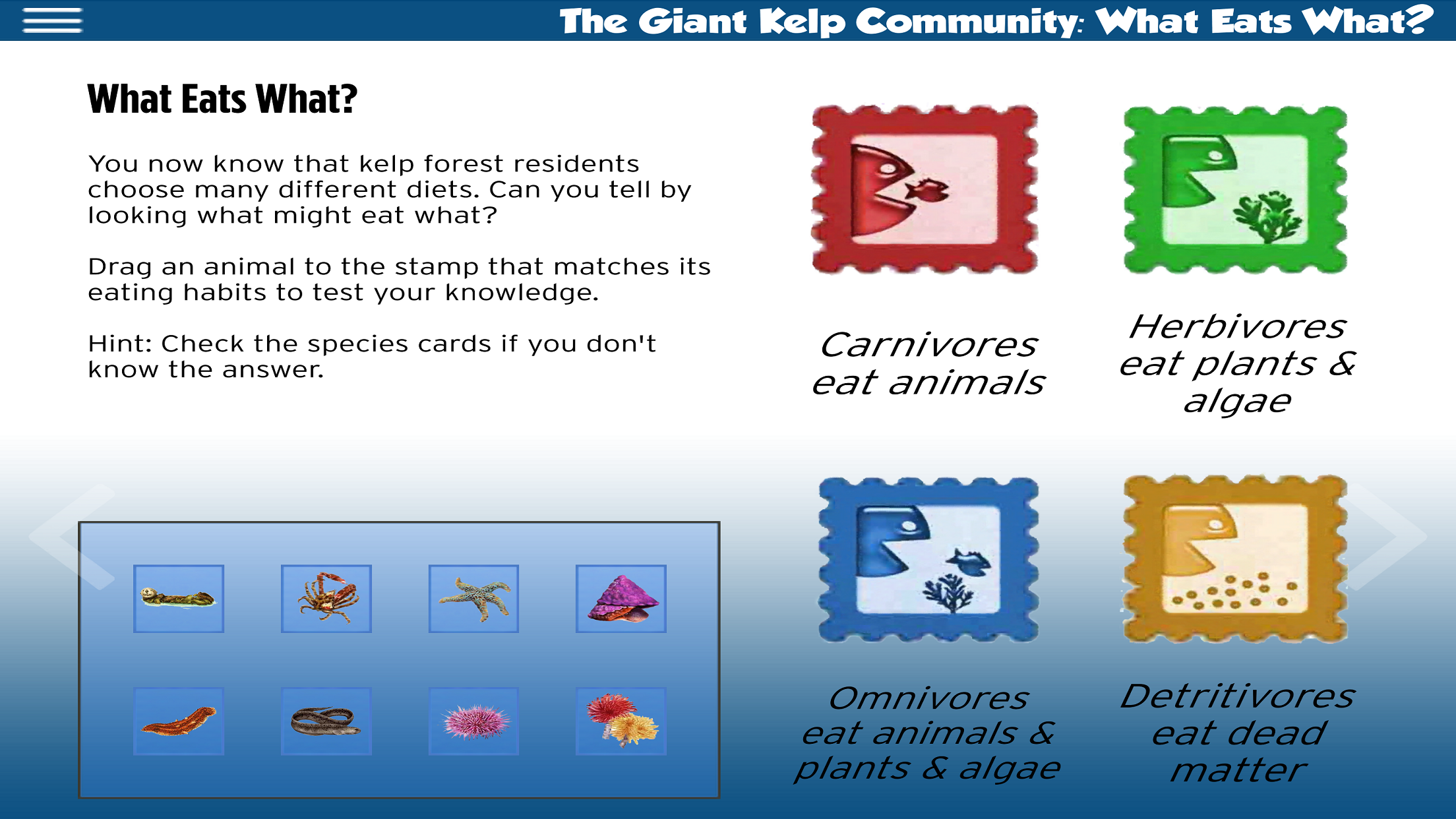 The Kelp Forest ebook