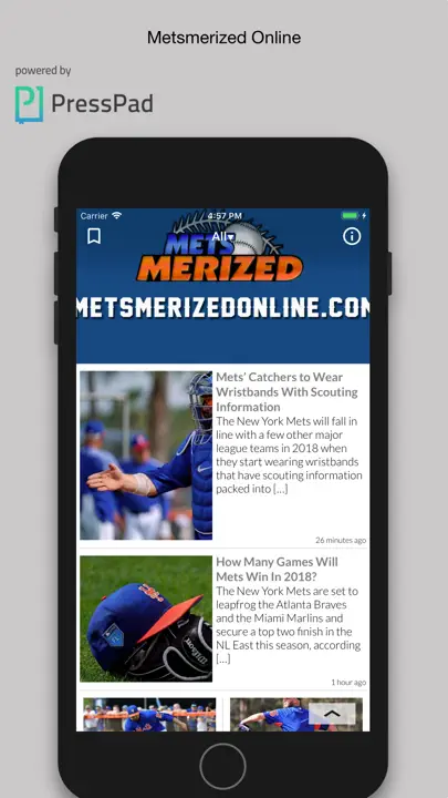 Metsmerized Online iPhone Screenshot 1