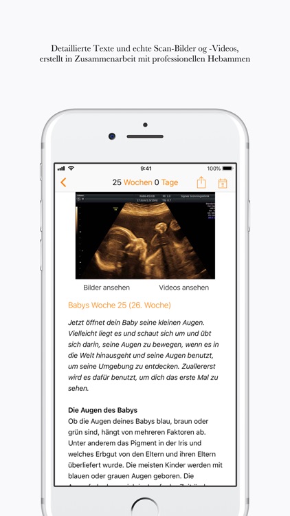 Schwanger - Tag für Tag AT