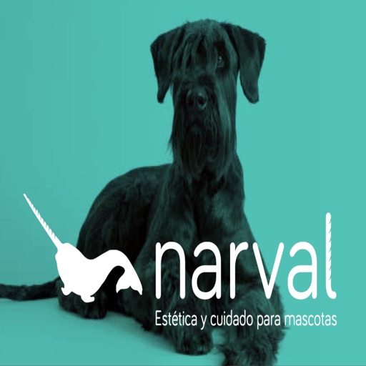 Narval