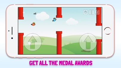 2 Floppy Birds - Double the challenge Screenshot 3