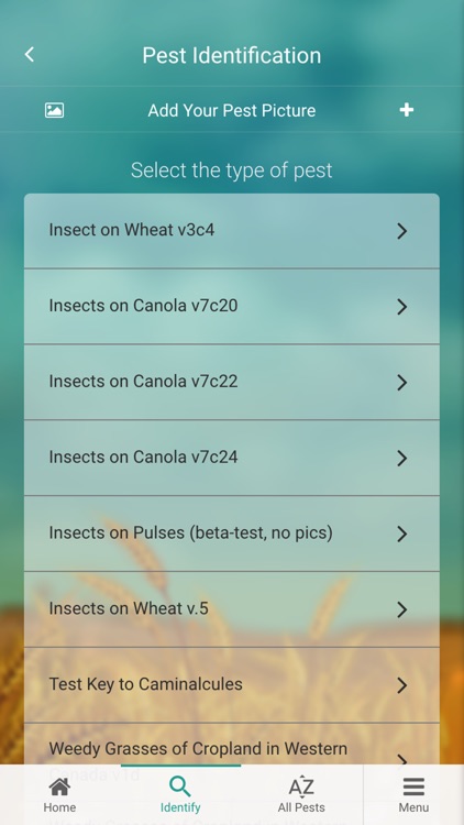 Mobile-IPM