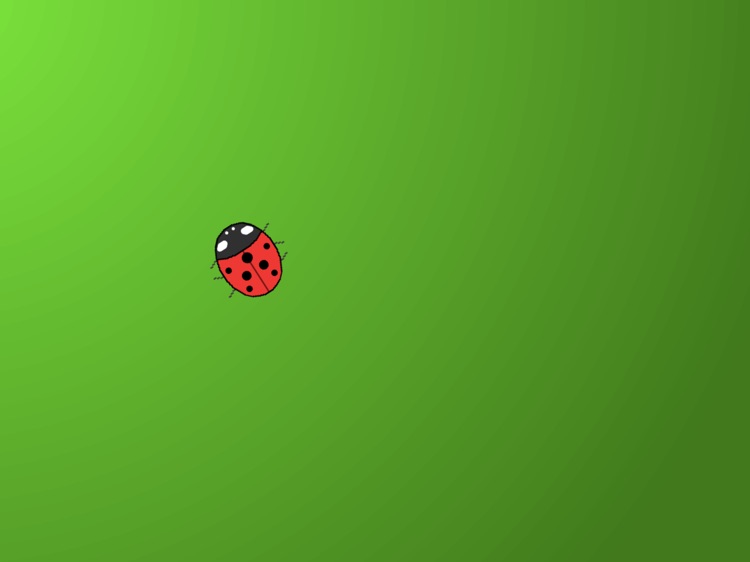 Touch the Ladybug