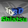 Shiatsu Points 3D Map