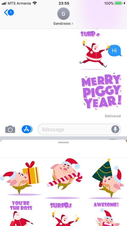 Christmas 2019 Piggy New Year