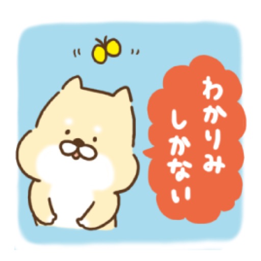 芝犬くん、毎日使える icon