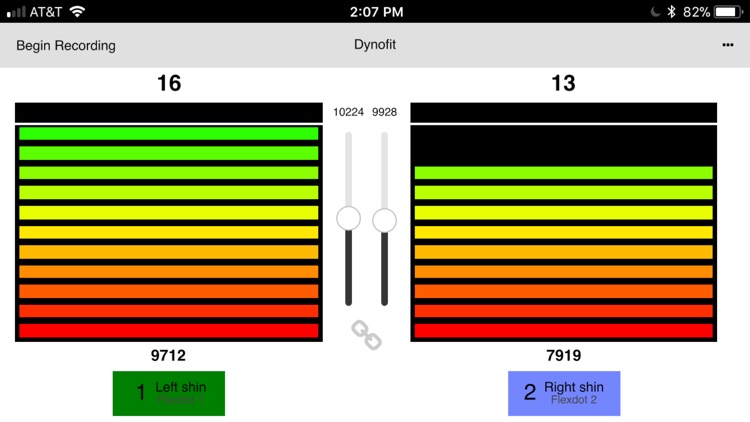 Dynofit Flexdot Multi