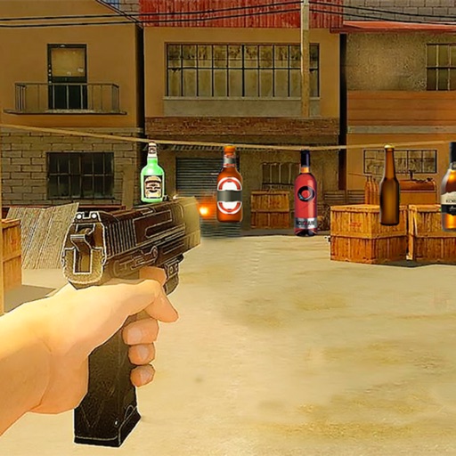 Army Shoot Bottle Training