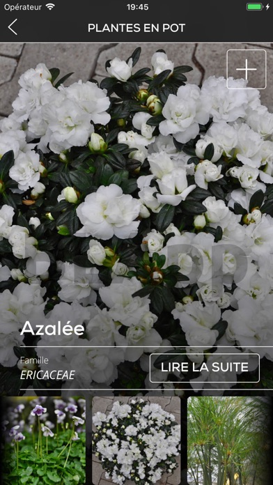 Screenshot #3 pour BLAPP - apprendre